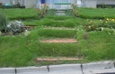 玄関アプローチ My Garden