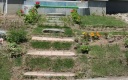 My Garden
