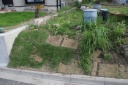 My Garden