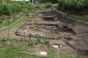 My Garden