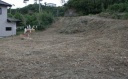 My Garden
