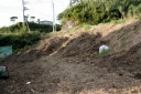 My Garden