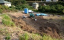 My Garden