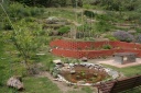 My Garden