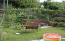 ２００８年夏 My Garden