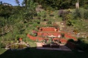 ２００８年秋 My Garden