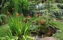 ２０１０年６月 My Garden