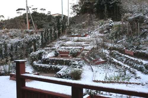 雪景色 2011年1月31日