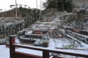 雪景色 2011年1月31日 My Garden