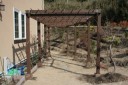 藤棚 My Garden