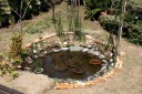２０１１年３月 My Garden