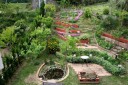 ２０１１年５月１日 My Garden