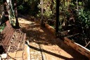 東庭歩道 「かたまる砂」で改装 My Garden