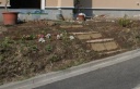 My Garden