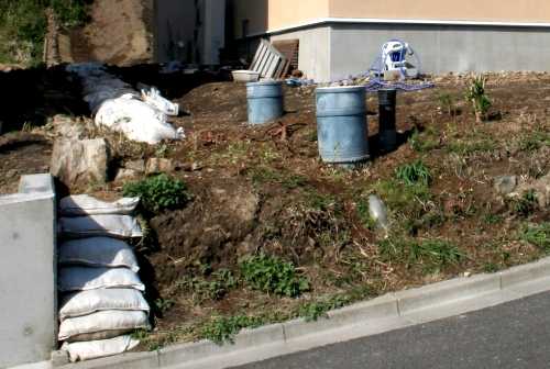 庭の花と虫