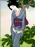 宵待ち草