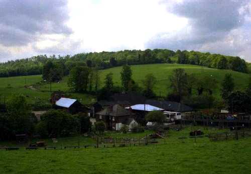 ロンドン郊外にて