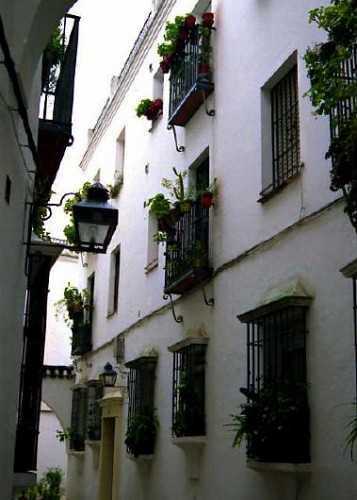 花の小路 コルドバ スペイン