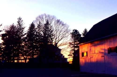ホワイトプレイン ウェストチェスター