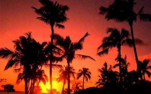 ハワイの夕日