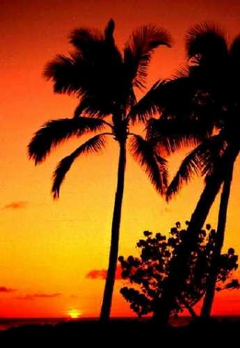 ハワイの夕日