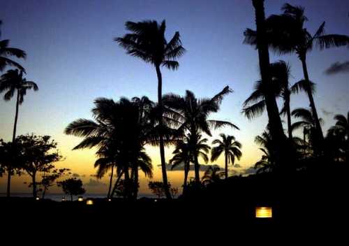 ハワイの夕日