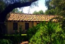 ミッション・カーメル（San Carlos Borromeo de Carmelo）