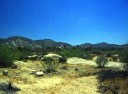 ジョシュア・ツリー 国立公園 カリフォルニア