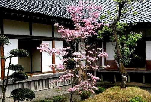 武家屋敷 会津若松
