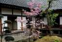 武家屋敷 会津若松
