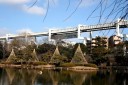 綿打池（千葉公園） 椿森１丁目 中央区 千葉市 千葉県