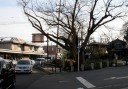 旧東金街道起点 市場町 中央区 千葉市 千葉県