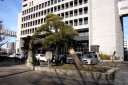 羽衣の松 長洲１丁目 中央区 千葉市 千葉県