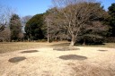 上総国分寺跡 惣社１丁目 市原市 千葉県