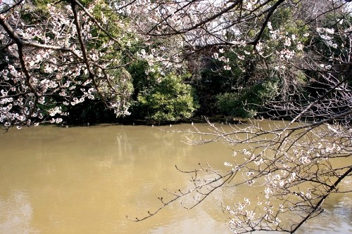 畳ヶ池 朝日3丁目 木更津市 千葉県