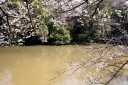 畳ヶ池 朝日３丁目 木更津市 千葉県