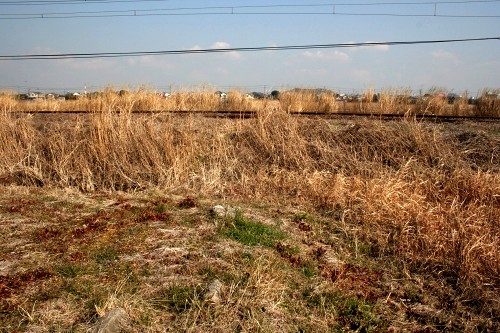 江戸道跡 吾妻 木更津市 千葉県