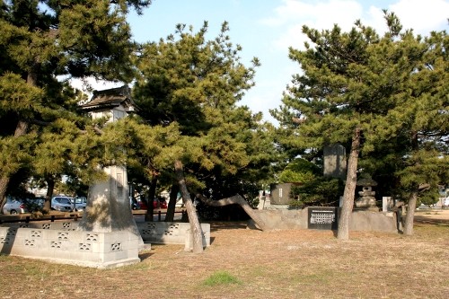 見染の松 富士見3丁目 木更津市 千葉県