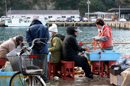 勝山漁港 勝山 鋸南町 安房郡 千葉県