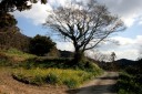 旧房総往還 合戸 南房総市 千葉県
