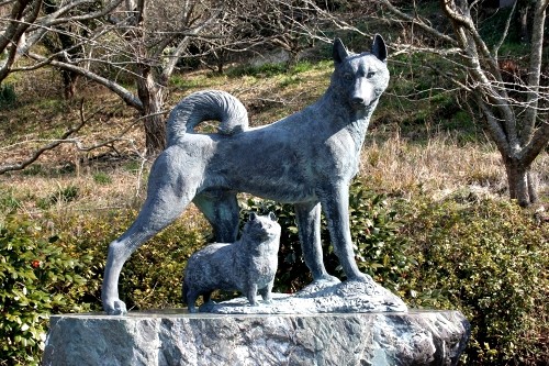 八房と狸の墓 犬掛 南房総市 千葉県