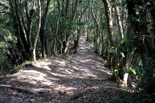 尾根道 滝田城址 上滝田 南房総市 千葉県