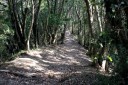 尾根道 滝田城址 上滝田 南房総市 千葉県