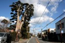 旧房総往還 北条 館山市 千葉県