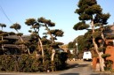 原口照輪生誕地 川名 富津市 千葉県