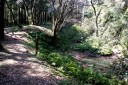 佐貫城址・空堀 佐貫 富津市 千葉県