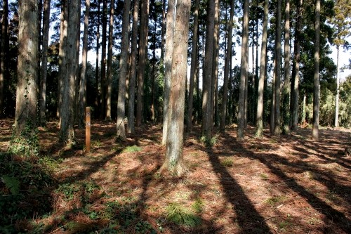 佐貫城址・本丸跡 佐貫 富津市 千葉県