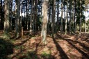 佐貫城址・本丸跡 佐貫 富津市 千葉県