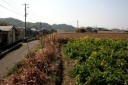 旧房総往還 亀田 富津市 千葉県