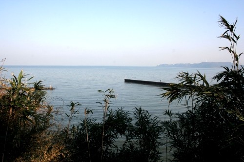 湊川河口 竹岡 富津市 千葉県
